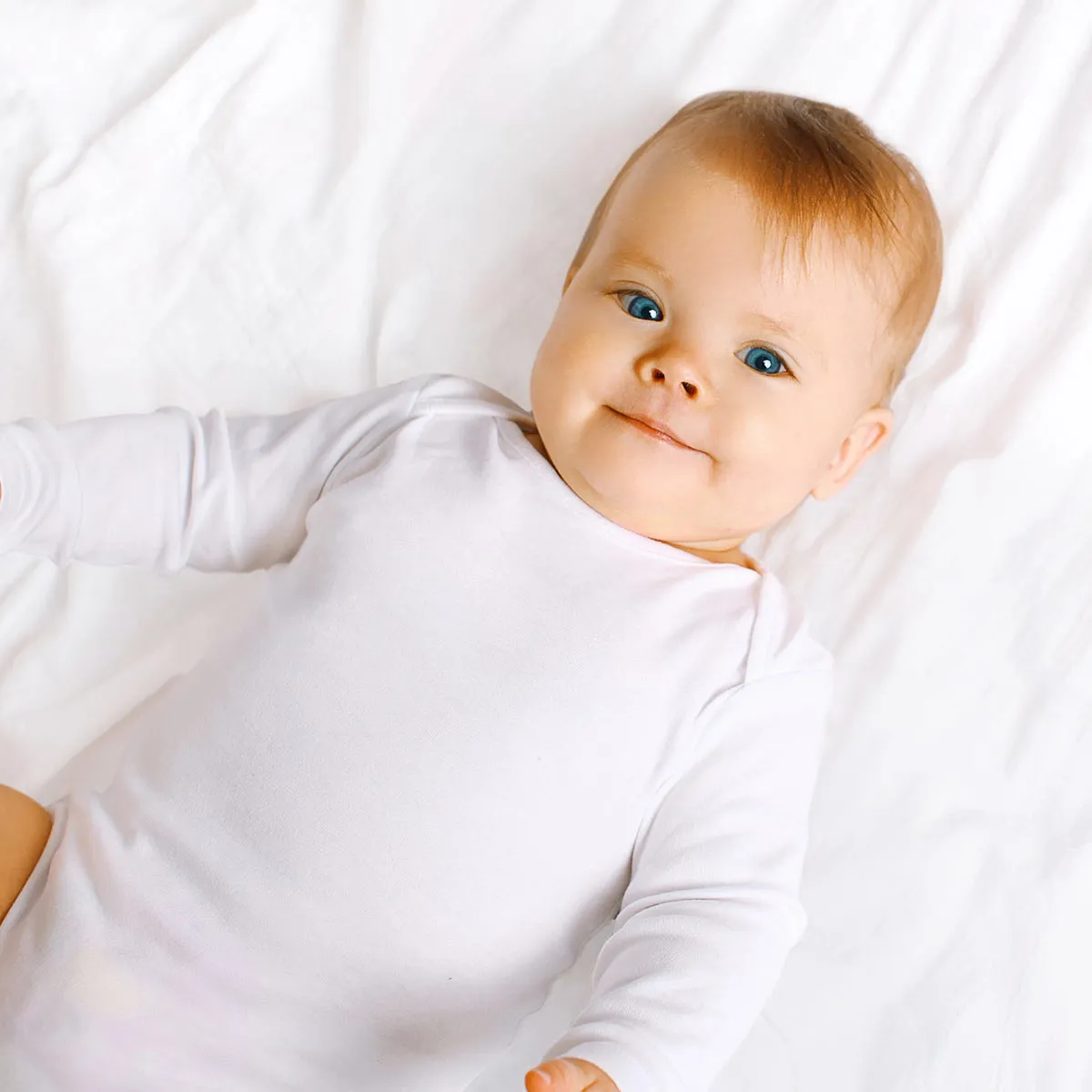 Bambini White Long Sleeve Lap T-shirts  6 Pack